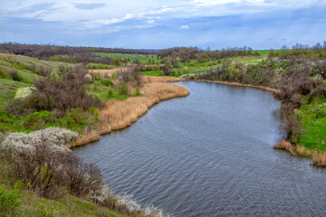 Beautiful spring landscape with river, coast with dry reeds and hills covered with green grass and blooming bushes, clouds on blue sky