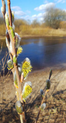Spring landscape of central Russia	