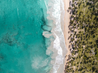 Aerial shot of a beach in the caribbean with turquoise water, white sand and palm trees