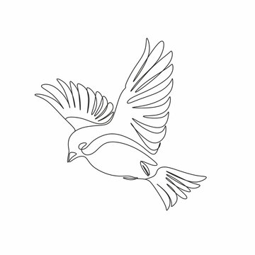 Abstract woman  face with bird and flowers by one line drawing. Portrait minimalistic style.  Botanical print. Nature symbol of cosmetics. Modern continuous line art.  Fashion print. Beaty salon art