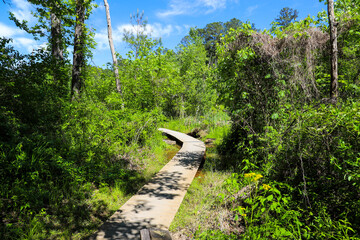 a small brown wooden foot bridge over silky brown water in the marsh surrounded by lush green...