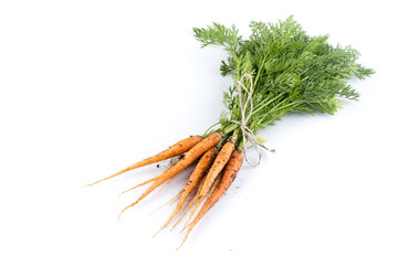 freshly picked carrots