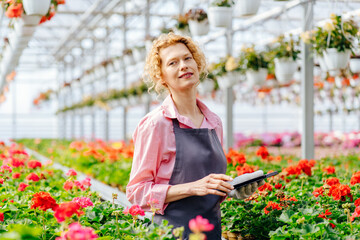 Florists woman works with flowers in a greenhouse.