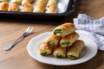 Turkish borek rolls with spinach and cheese on the white plate. A traditional Turkish pastry, Turkish name; rulo borek or sigara boregi. 