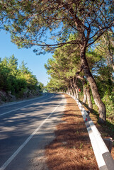 Fototapety na wymiar - Fototapeta24.pl