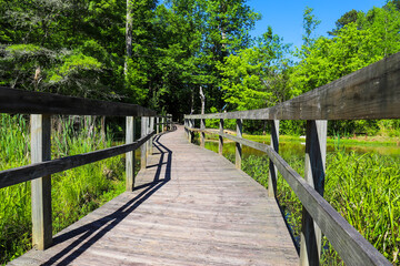 a shot of a brown wooden bridge over the water in a marsh surrounded by lush green trees and plants...