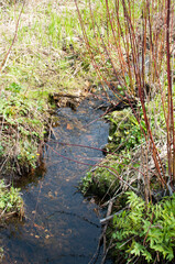A small stream among the banks with bushes and green vegetation.