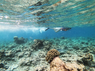 Schools of colorful tropical fish swimming around corals on a tropical reef in Maldives.