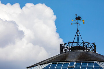 Black Swan Weather Vane at Leeds Castle in Kent, UK
