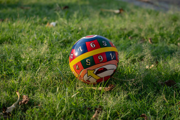 ball on the grass