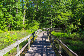 a shot of a brown wooden bridge over the water in a marsh surrounded by lush green trees and plants...