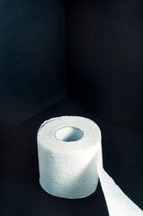 In the corner of the dark blue room is a white roll of toilet paper.