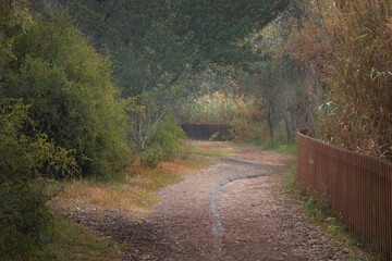 Path in the park on a cloudy spring morning