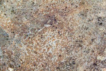 Stone Texture