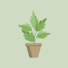 Home plant in a pot.Vector illustration. Isolate background.