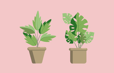 Home plant in a pot.Vector illustration. Isolate background.