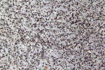 Stone Texture