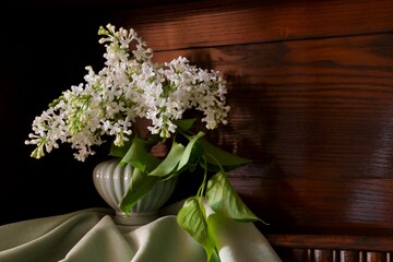 Spring flowers, white lilac in the vase, Syringa vulgaris
