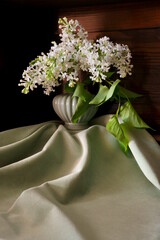 Spring flowers, white lilac in the vase, Syringa vulgaris