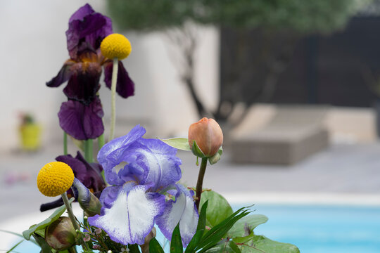Beautiful bouquet of flower in the garden