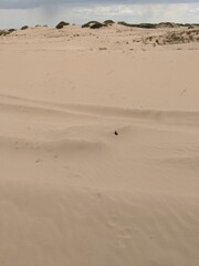 Fototapeta na wymiar sand dunes in west texas