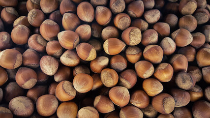 Pile of hazelnuts
