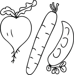 Simple doodle of vegetables: carrots, peas, turnips, beets. Cartoon style. Hand drawn vector illustration. Design for T-shirt, textile and prints.