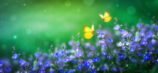 Beautiful summer nature scene with magic blue flowers and flying butterflies on green background....
