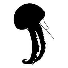 Black isolated silhouette of a sea jellyfish on a white background. Side view. Stock Vector Graphics EPS 10.