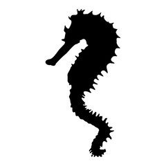 Sea Horse. Black isolated silhouette of a sea animal on a white background. Vector clipart illustration.