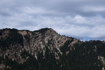 Picture of a big mountain whit green trees on it. Selective focus, Selective Focus On Subject, Background Blur