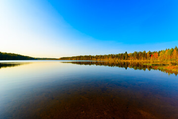 Fototapeta na wymiar Transparent waters of a forest lake in the rays of the setting sun. View from the shore level