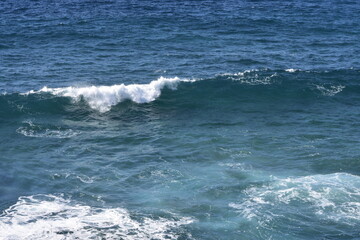 The sea, source of inspiration for the world