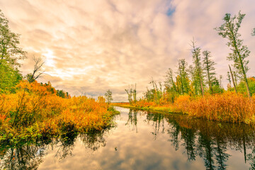 Cloudy autumn sky over a forest lake. View from the shore level