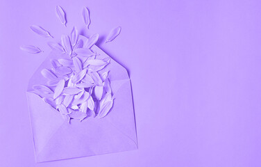 Envelope with violet petals