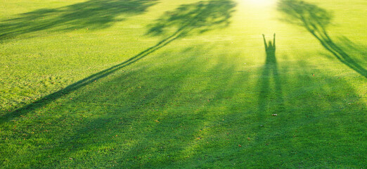 Schatten von den Bäumen und einem Mensch auf der grünen Wiese