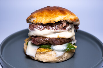 Homemade hamburger. A burger made with steak meat. Nutrition with homemade food. Close-up burger. A high protein meal.