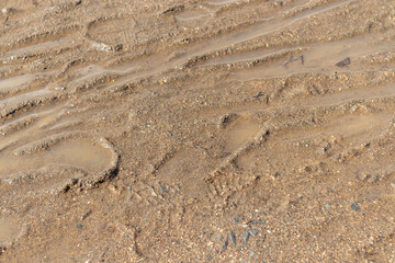 Fototapeta na wymiar the texture of clay with sand and water. Bicycle tracks and footprints