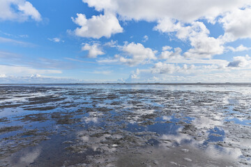 View over Wadden Sea near Foehr Island at low tide