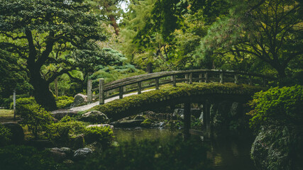 Fototapeta na wymiar Kyoto Palace Garden