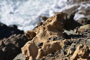 mysterious wave finally photographed