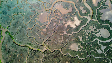 aerial view of marshland