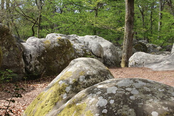Rocher de la forêt de Fontainebleau