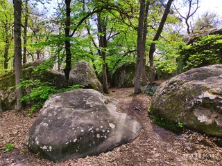 Rocher de la forêt de Fontainebleau