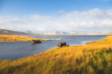 Obraz premium Golden grass and light in idyllic mountain wetland landscape in Southern Iceland near Vik and Dyrholaey.
