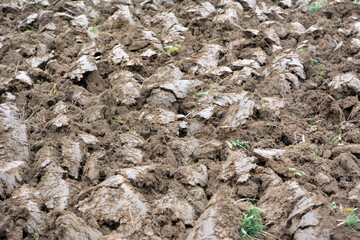 Plowing autumn field