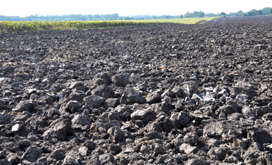 Plowing autumn field