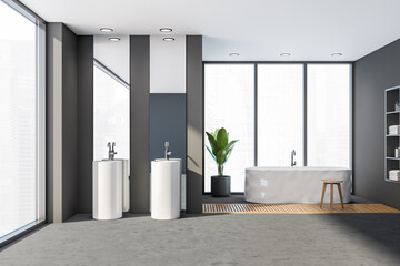 Bathroom interior with bathtub on concrete floor with plant and sinks
