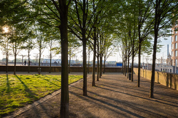 Outdoor sunny scenery of park and tree beside Alter Hafen, former harbor, on promenade riverside of Rhine River in Düsseldorf, Germany.