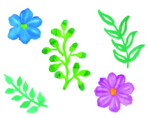 Fototapeta na wymiar watercolor flower design elements. Watercolor flower with leaves isolated on transparent background. floral pattern element.